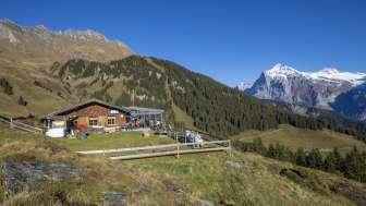 Bussalp en été