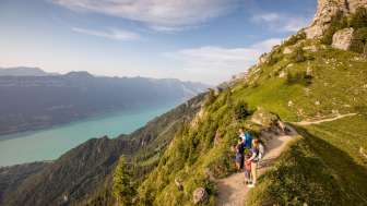 Joueurs de cor des Alpes