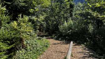 Parcours vita