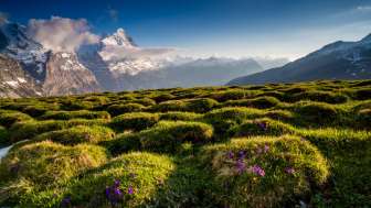 Grande Scheidegg Grande Scheidegg