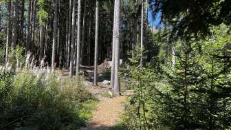 Parcours Vita